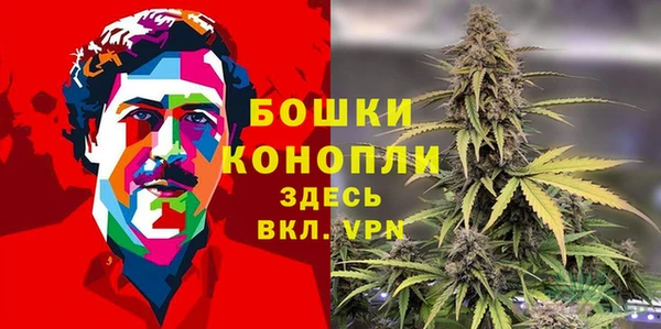 спайс Дмитриев