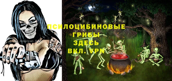 амф Дмитровск