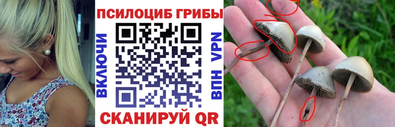 Галлюциногенные грибы прущие грибы  Купить  Павловский Посад 